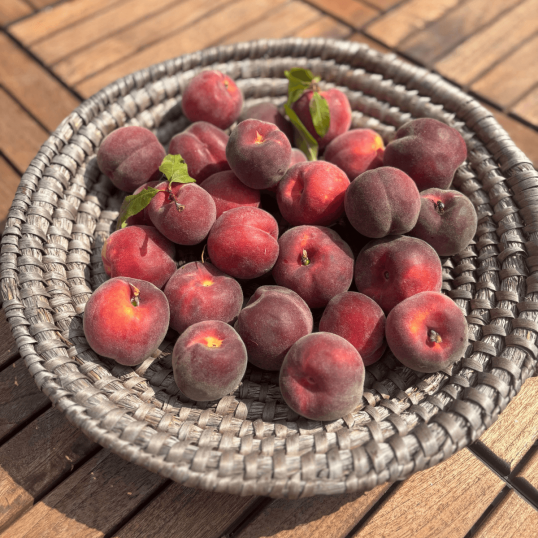 Léto ze Zahrádek (mix)