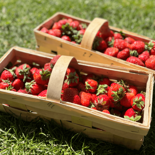 Léto ze Zahrádek (mix)