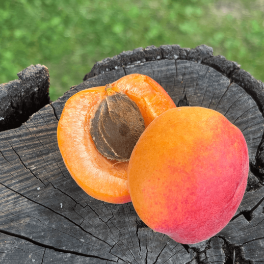 Léto ze Zahrádek (mix)