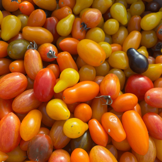 Lyofilizovaná rajčata